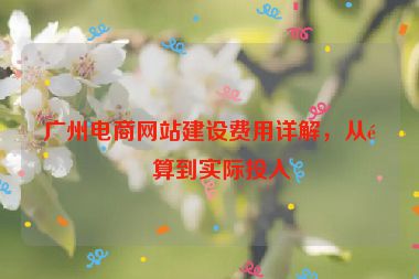 廣州電商網(wǎng)站建設(shè)費用詳解，從預(yù)算到實際投入