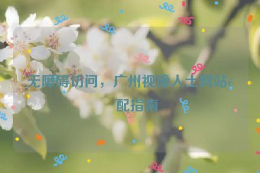 無障礙訪問，廣州視障人士網(wǎng)站適配指南