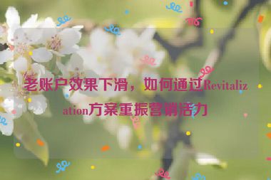 老賬戶效果下滑，如何通過(guò)Revitalization方案重振營(yíng)銷活力