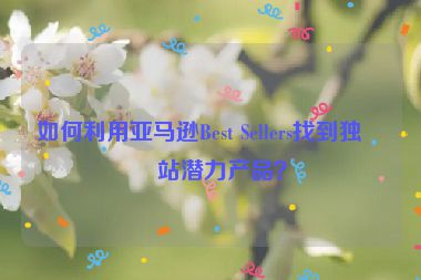 如何利用亞馬遜Best Sellers找到獨(dú)立站潛力產(chǎn)品？