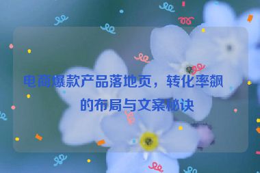 電商爆款產(chǎn)品落地頁，轉化率飆升的布局與文案秘訣