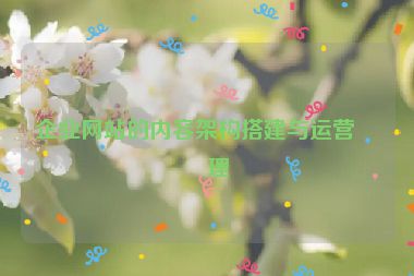 企業(yè)網(wǎng)站的內(nèi)容架構(gòu)搭建與運營管理