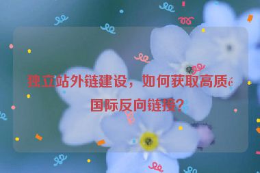 獨立站外鏈建設(shè)，如何獲取高質(zhì)量國際反向鏈接？