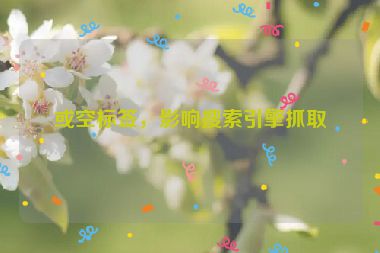 或空標(biāo)簽，影響搜索引擎抓取