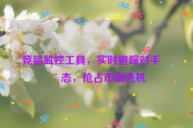 競品監(jiān)控工具，實時追蹤對手動態(tài)，搶占市場先機
