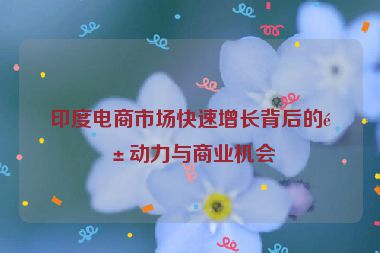 印度電商市場快速增長背后的驅(qū)動力與商業(yè)機(jī)會