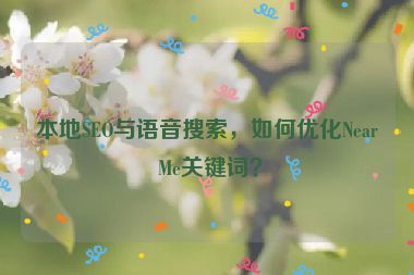 本地SEO與語音搜索，如何優(yōu)化Near Me關(guān)鍵詞？