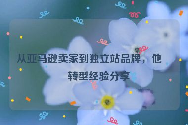從亞馬遜賣家到獨立站品牌，他的轉(zhuǎn)型經(jīng)驗分享