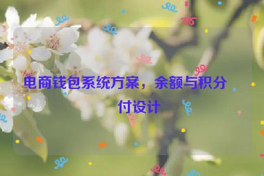 電商錢(qián)包系統(tǒng)方案，余額與積分支付設(shè)計(jì)