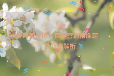 人群畫像分析，百度營銷精準(zhǔn)定向技巧全解析