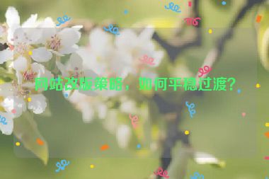 網(wǎng)站改版策略，如何平穩(wěn)過渡？
