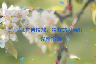 Facebook廣告投放，獨立站從0到1的完整指南
