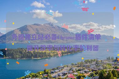 外貿(mào)獨(dú)立站必備Chrome插件清單，提升效率與轉(zhuǎn)化率的利器