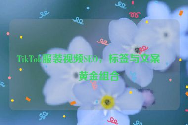 TikTok服裝視頻SEO，標(biāo)簽與文案的黃金組合