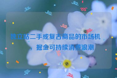 獨(dú)立站二手或復(fù)古商品的市場(chǎng)機(jī)會(huì)，掘金可持續(xù)消費(fèi)浪潮