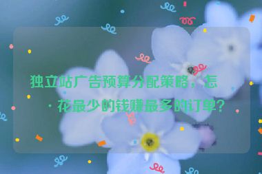 獨(dú)立站廣告預(yù)算分配策略，怎樣花最少的錢賺最多的訂單？