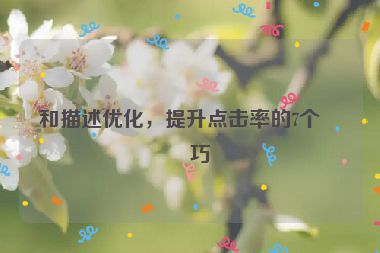 和描述優(yōu)化，提升點(diǎn)擊率的7個(gè)技巧