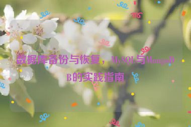 數(shù)據(jù)庫備份與恢復，MySQL與MongoDB的實踐指南
