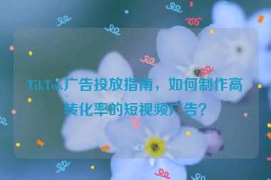 TikTok廣告投放指南，如何制作高轉(zhuǎn)化率的短視頻廣告？