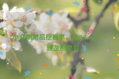 小眾剛需品挖掘術(shù)，用Helium10發(fā)現(xiàn)壟斷類目