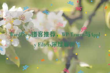 WordPress播客推薦，WP Tavern與Apply Filters深度解析