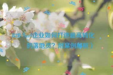 B2B SaaS企業(yè)如何打造超高轉(zhuǎn)化率的落地頁(yè)？附案例解析）