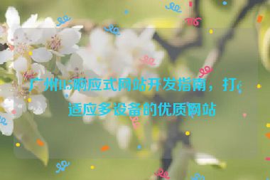 廣州H5響應(yīng)式網(wǎng)站開發(fā)指南，打造適應(yīng)多設(shè)備的優(yōu)質(zhì)網(wǎng)站