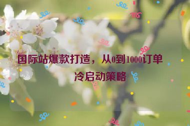 國際站爆款打造，從0到1000訂單的冷啟動(dòng)策略