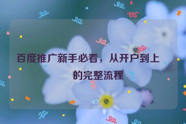百度推廣新手必看，從開戶到上線的完整流程