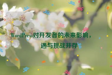 WordPress對(duì)開發(fā)者的未來影響，機(jī)遇與挑戰(zhàn)并存