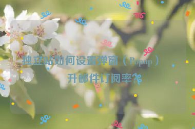 獨(dú)立站如何設(shè)置彈窗（Popup）提升郵件訂閱率？