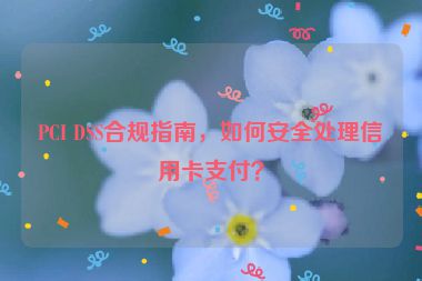 PCI DSS合規(guī)指南，如何安全處理信用卡支付？
