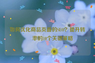 如何優(yōu)化商品頁(yè)面的SEO？提升轉(zhuǎn)化率的10個(gè)關(guān)鍵策略