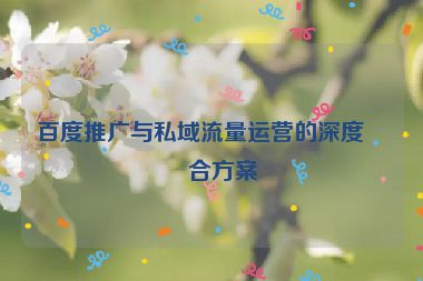 百度推廣與私域流量運(yùn)營的深度結(jié)合方案