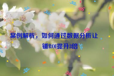 案例解析，如何通過數(shù)據(jù)分析讓店鋪ROI提升3倍