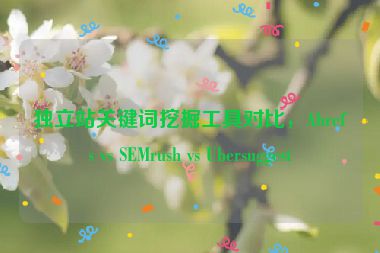 獨(dú)立站關(guān)鍵詞挖掘工具對(duì)比，Ahrefs vs SEMrush vs Ubersuggest