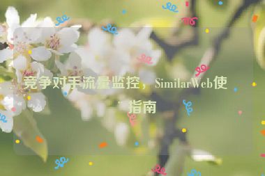 競(jìng)爭(zhēng)對(duì)手流量監(jiān)控，SimilarWeb使用指南