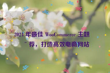 2024 年最佳 WooCommerce 主題推薦，打造高效電商網(wǎng)站