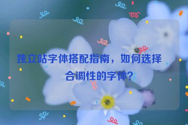 獨立站字體搭配指南，如何選擇符合調(diào)性的字體？