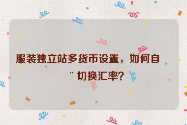 服裝獨(dú)立站多貨幣設(shè)置，如何自動(dòng)切換匯率？