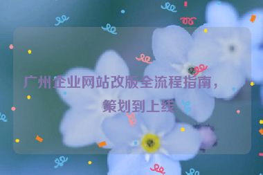 廣州企業(yè)網(wǎng)站改版全流程指南，從策劃到上線
