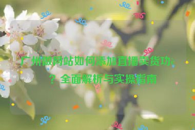 廣州做網站如何添加直播賣貨功能？全面解析與實操指南