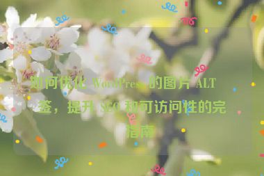 如何優(yōu)化 WordPress 的圖片 ALT 標簽，提升 SEO 和可訪問性的完整指南