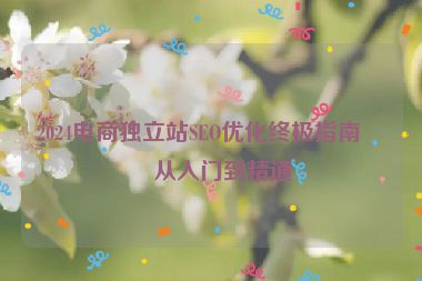 2024電商獨(dú)立站SEO優(yōu)化終極指南，從入門到精通