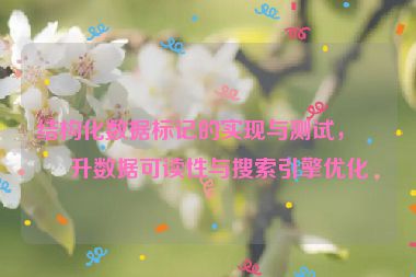 結(jié)構(gòu)化數(shù)據(jù)標(biāo)記的實(shí)現(xiàn)與測(cè)試，提升數(shù)據(jù)可讀性與搜索引擎優(yōu)化