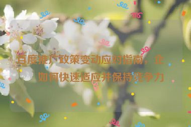 百度推廣政策變動(dòng)應(yīng)對(duì)指南，企業(yè)如何快速適應(yīng)并保持競(jìng)爭(zhēng)力
