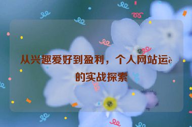 從興趣愛好到盈利，個人網站運營的實戰(zhàn)探索