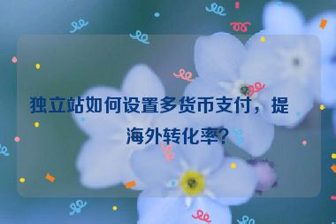 獨立站如何設(shè)置多貨幣支付，提升海外轉(zhuǎn)化率？