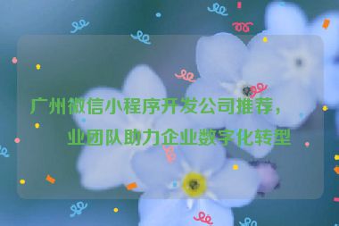 廣州微信小程序開(kāi)發(fā)公司推薦，專(zhuān)業(yè)團(tuán)隊(duì)助力企業(yè)數(shù)字化轉(zhuǎn)型