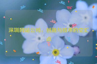 深圳網(wǎng)站公司，創(chuàng)新與技術的交匯點
